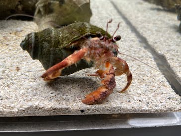 AOAO SAPPOROに投稿された画像（2024/1/6）