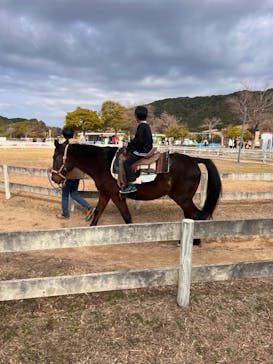 淡路ファームパーク イングランドの丘に投稿された画像（2024/1/6）