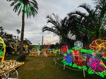 美らヤシパークオキナワ・東南植物楽園に投稿された画像（2024/1/6）