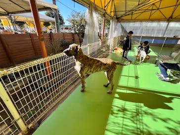 つくばわんわんランドに投稿された画像（2024/1/6）