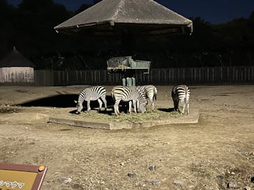 東武動物公園に投稿された画像（2024/1/6）