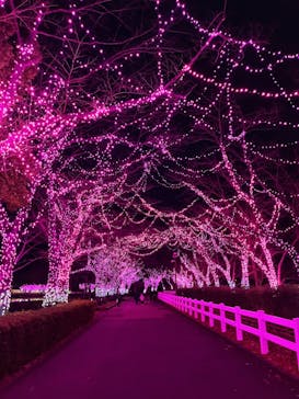 東武動物公園に投稿された画像（2024/1/6）