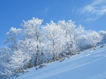 たざわ湖スキー場に投稿された画像（2024/1/6）