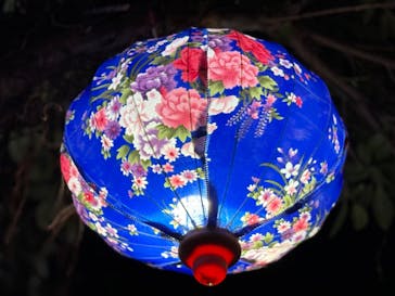 体験王国 むら咲むらに投稿された画像（2024/1/6）