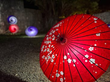 体験王国 むら咲むらに投稿された画像（2024/1/6）