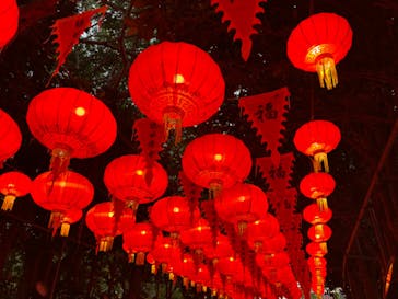 体験王国 むら咲むらに投稿された画像（2024/1/6）