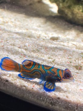 NIFREL（ニフレル）に投稿された画像（2024/1/6）