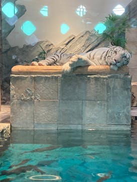 NIFREL（ニフレル）に投稿された画像（2024/1/6）