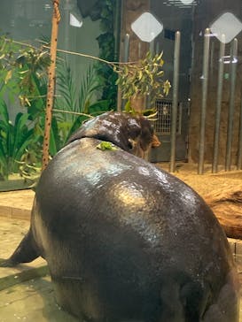 NIFREL（ニフレル）に投稿された画像（2024/1/6）