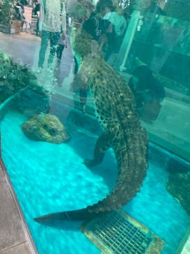 NIFREL（ニフレル）に投稿された画像（2024/1/6）