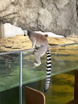 NIFREL（ニフレル）に投稿された画像（2024/1/6）