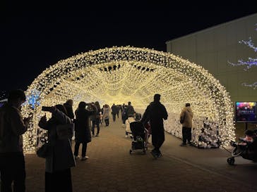 東京メガイルミに投稿された画像（2024/1/6）