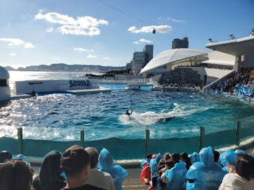 鴨川シーワールドに投稿された画像（2024/1/6）