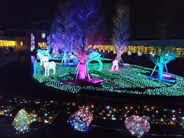 神戸イルミナージュに投稿された画像（2024/1/6）