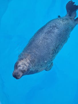 鴨川シーワールドに投稿された画像（2024/1/6）