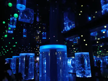 マクセル アクアパーク品川に投稿された画像（2024/1/6）