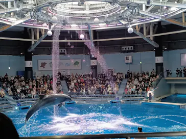 マクセル アクアパーク品川に投稿された画像（2024/1/6）