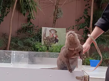 マクセル アクアパーク品川に投稿された画像（2024/1/6）