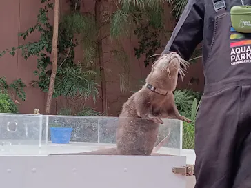 マクセル アクアパーク品川に投稿された画像（2024/1/6）