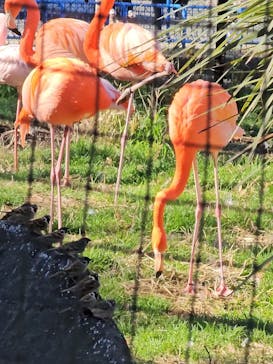 千葉市動物公園に投稿された画像（2024/1/6）