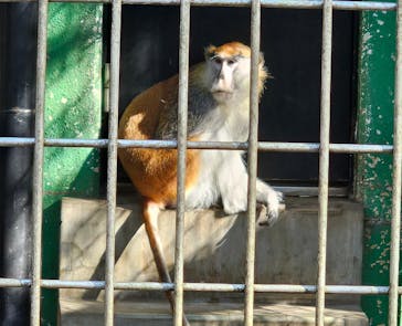 千葉市動物公園に投稿された画像（2024/1/6）