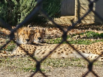 千葉市動物公園に投稿された画像（2024/1/6）