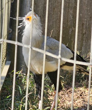 千葉市動物公園に投稿された画像（2024/1/6）