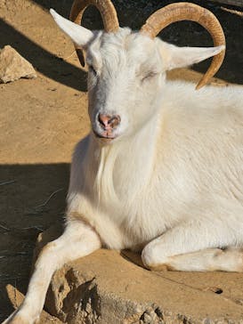 千葉市動物公園に投稿された画像（2024/1/6）