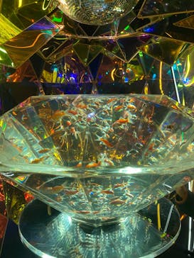 NARA KINGYO MUSEUMに投稿された画像（2024/1/6）