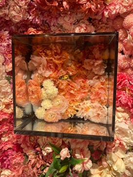 NARA KINGYO MUSEUMに投稿された画像（2024/1/6）