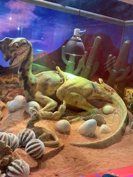 NARA KINGYO MUSEUMに投稿された画像（2024/1/6）