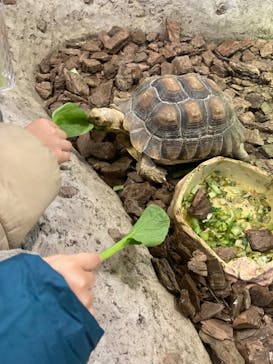 NARA KINGYO MUSEUMに投稿された画像（2024/1/6）