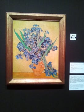 ゴッホと静物画　伝統から革新へ（SＯＭＰＯ美術館）に投稿された画像（2024/1/6）