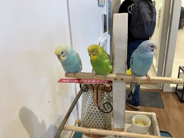 アニタッチみなとみらいに投稿された画像（2024/1/6）