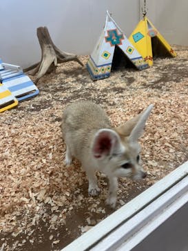 アニタッチみなとみらいに投稿された画像（2024/1/6）