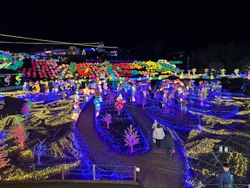 伊豆ぐらんぱる公園に投稿された画像（2024/1/6）