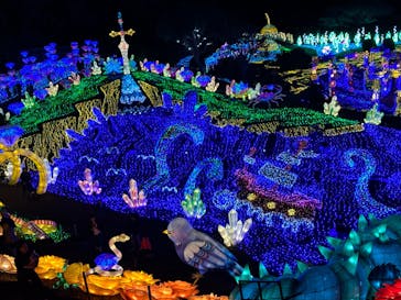 伊豆ぐらんぱる公園に投稿された画像（2024/1/6）