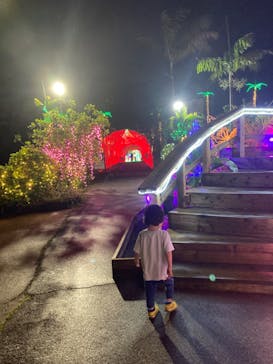 美らヤシパークオキナワ・東南植物楽園に投稿された画像（2024/1/6）