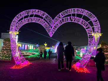 神戸イルミナージュに投稿された画像（2024/1/6）