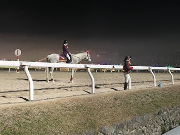 東京メガイルミに投稿された画像（2024/1/6）