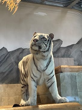 NIFREL（ニフレル）に投稿された画像（2024/1/6）