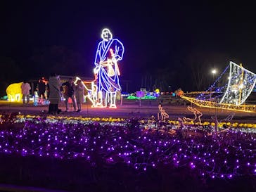 鹿児島イルミナージュに投稿された画像（2024/1/6）