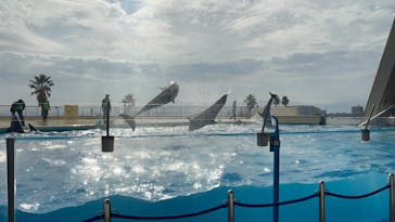 マリンワールド海の中道に投稿された画像（2024/1/6）