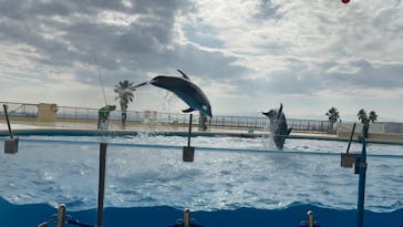 マリンワールド海の中道に投稿された画像（2024/1/6）