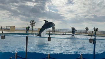 マリンワールド海の中道に投稿された画像（2024/1/6）