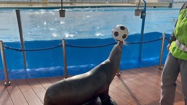 マリンワールド海の中道に投稿された画像（2024/1/6）