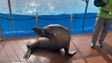 マリンワールド海の中道に投稿された画像（2024/1/6）