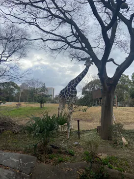 天王寺動物園に投稿された画像（2024/1/6）