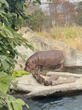 天王寺動物園に投稿された画像（2024/1/6）