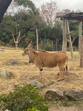 天王寺動物園に投稿された画像（2024/1/6）